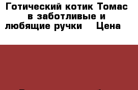 Готический котик Томас в заботливые и любящие ручки! › Цена ­ 100 - Воронежская обл., Воронеж г. Животные и растения » Кошки   